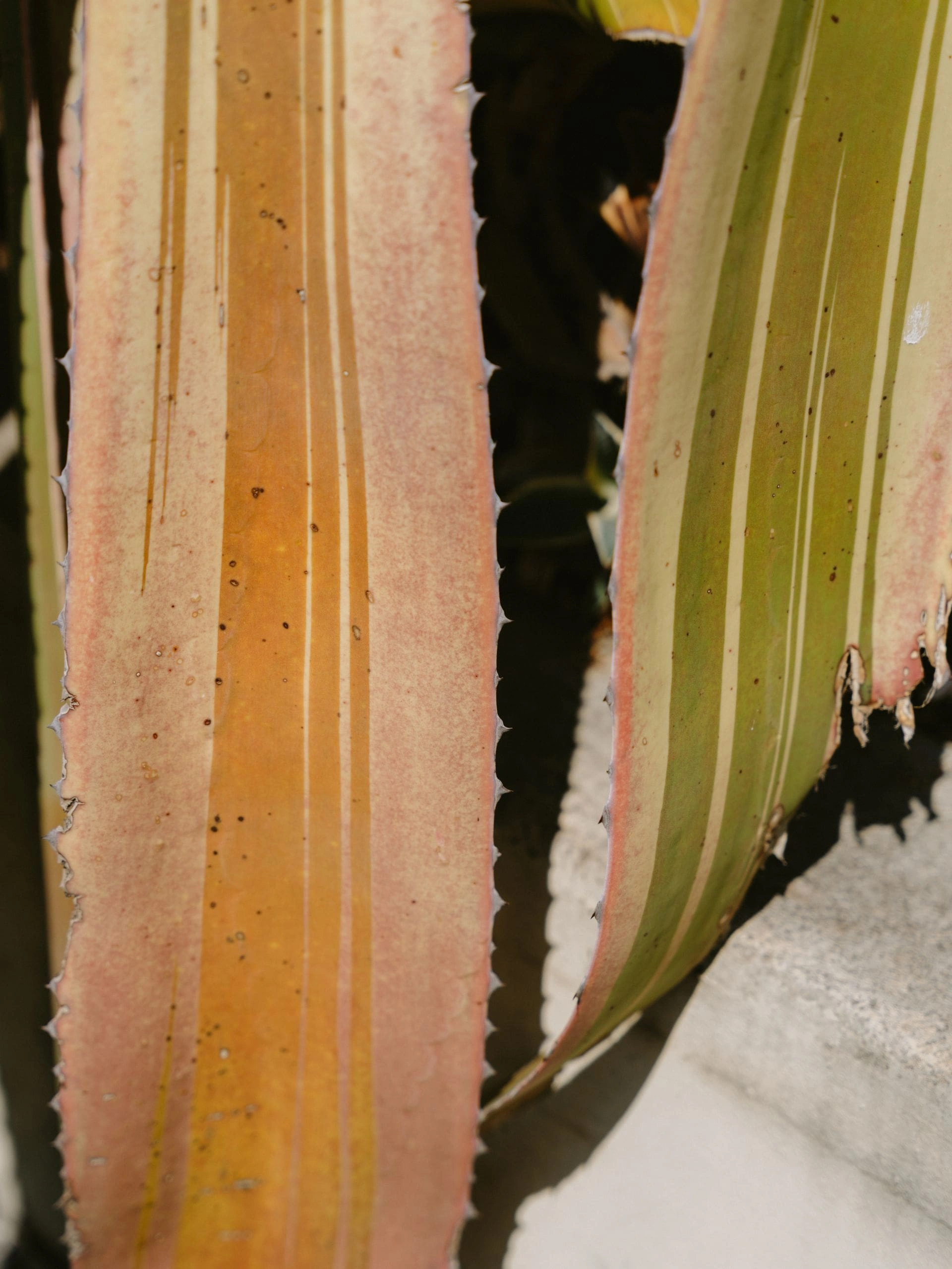 Scultura morbida color sabbia