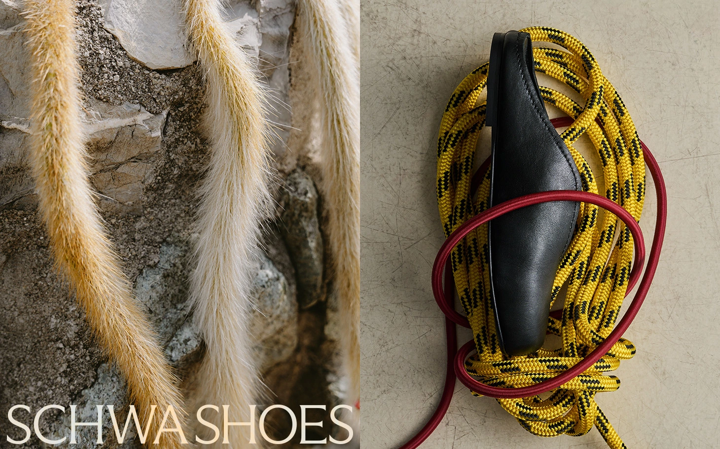 Leather flats on rocks by the sea